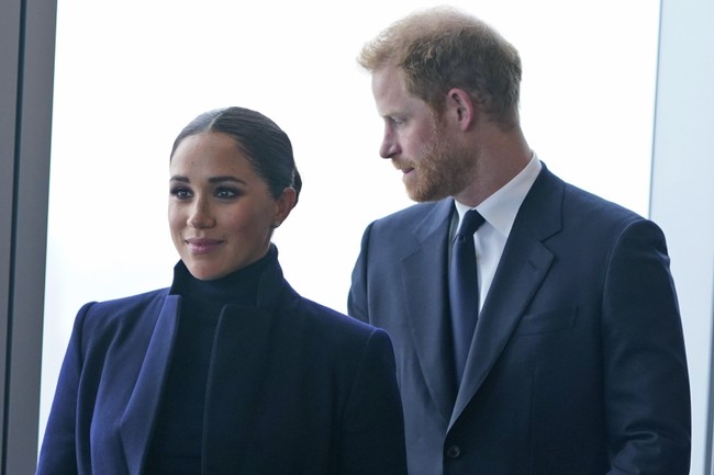 The Dog Ate Harry and Meghan's Archewell Foundation Homework – PJ Media