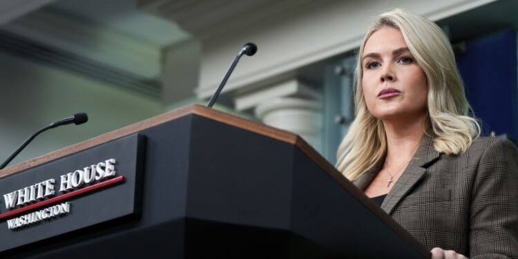 Mother of Karoline Leavitt's nephew arrested by ICE