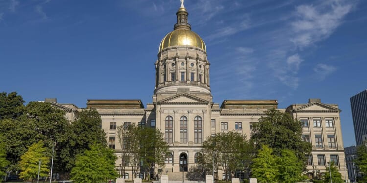 Runoff in Georgia to decide state senator in a deep-red district where a Democrat made gains