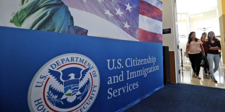 America's guest-worker H-1B visas sought in some unexpected fields like journalism and pickleball