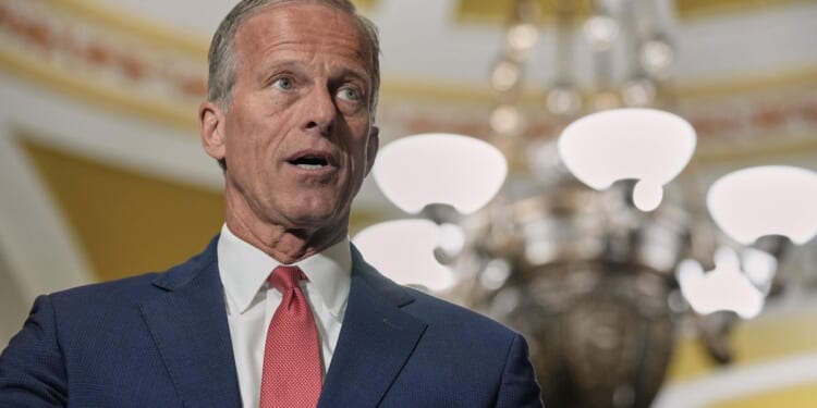 John Thune 'very concerned' about Donald Trump advising pregnant women not to take Tylenol