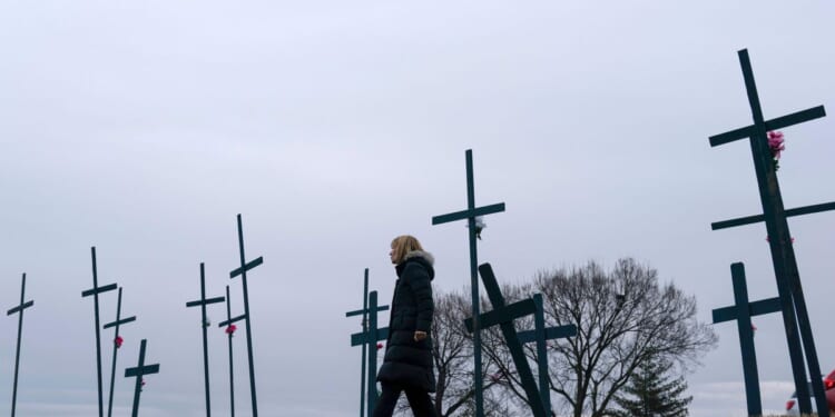 Washington plane crash victim's family sues the FAA, Army and American Airlines