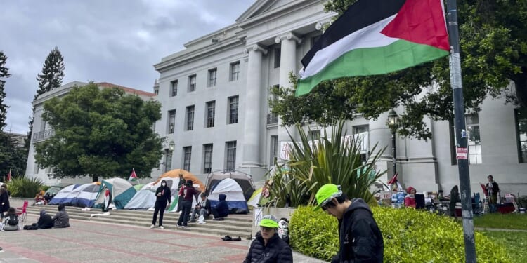 Federal court sentences 'domestic terrorist' inspired by Hamas to 19 years in prison