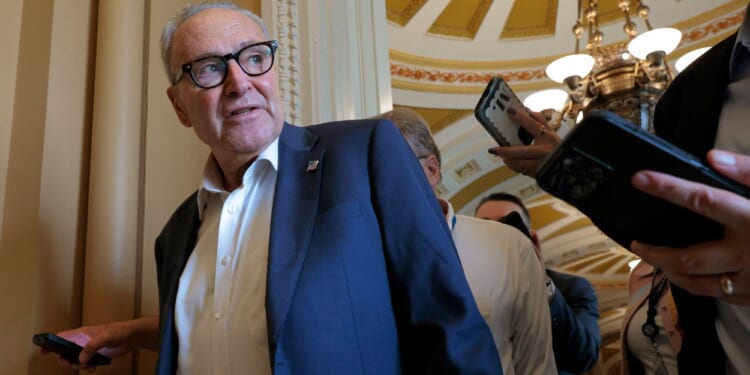 The Democrat Senators to Watch in the Shutdown Fight