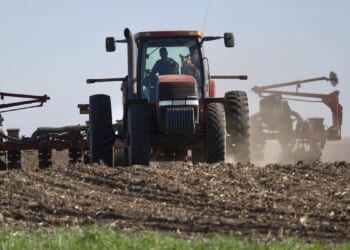 China tells U.S. to remove Trump administration's tariffs, then Beijing will buy American soybeans
