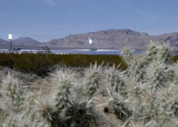 Farewell to Ivanpah, Where Incinerated Birds Catch Fire So Often That Locals Call Them 'Streamers' – HotAir