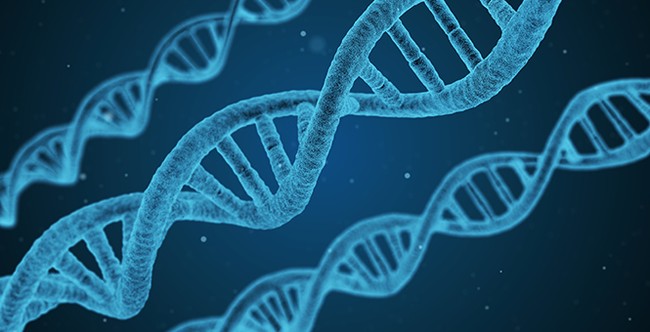 Parasites Always Find a New Host – PJ Media