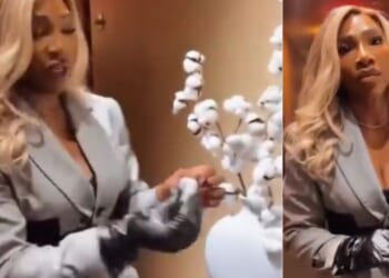 Serena Williams is facing backlash online after posting a video to Instagram complaining about a decorative cotton plant in a New York City hotel.