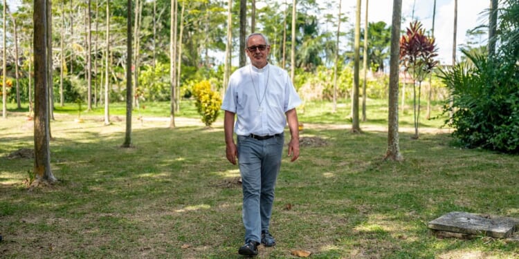 Gold demand putting Peru's Amazon at greater risk from mercury poisoning, bishop warns