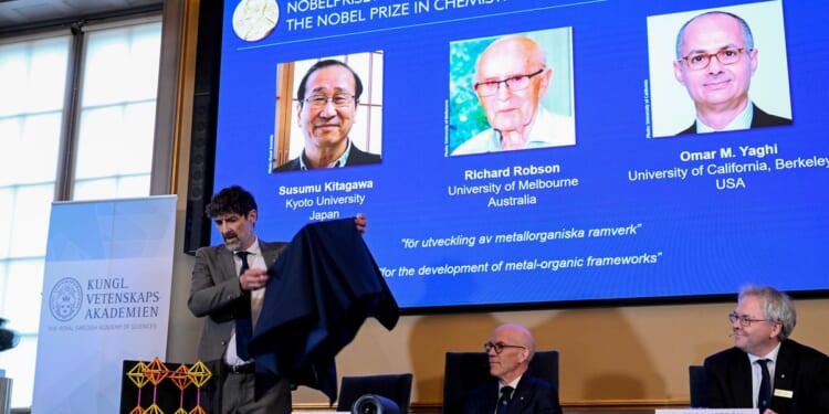 Molecular discovery that won Nobel Prize in Chemistry compared to 'Harry Potter' enchanted handbag