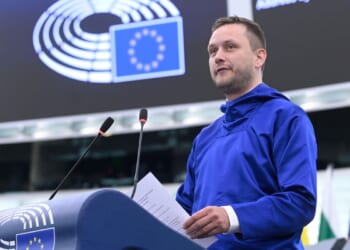 Greenland's leader hailing EU as trusted friend and urges investment in its minerals