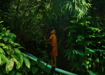 Children starving as U.S. aid cuts unleash devastation and death across Myanmar