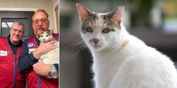 Mike Sida, left, and Wayne Schneider (holding Francine the Cat) set off at 4 a.m. Monday to bring the wayward kitty back to her home at Lowe's #1037 in RIchmond, Virginia.