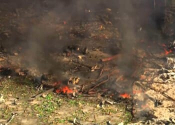 Tennessee company rocked by an explosion manufactures and researches explosives for the military