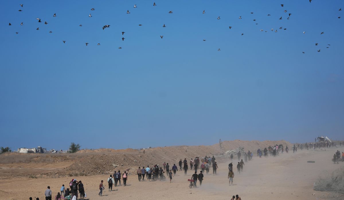 Thousands of Palestinians returning to what remains of their homes as Gaza ceasefire takes effect