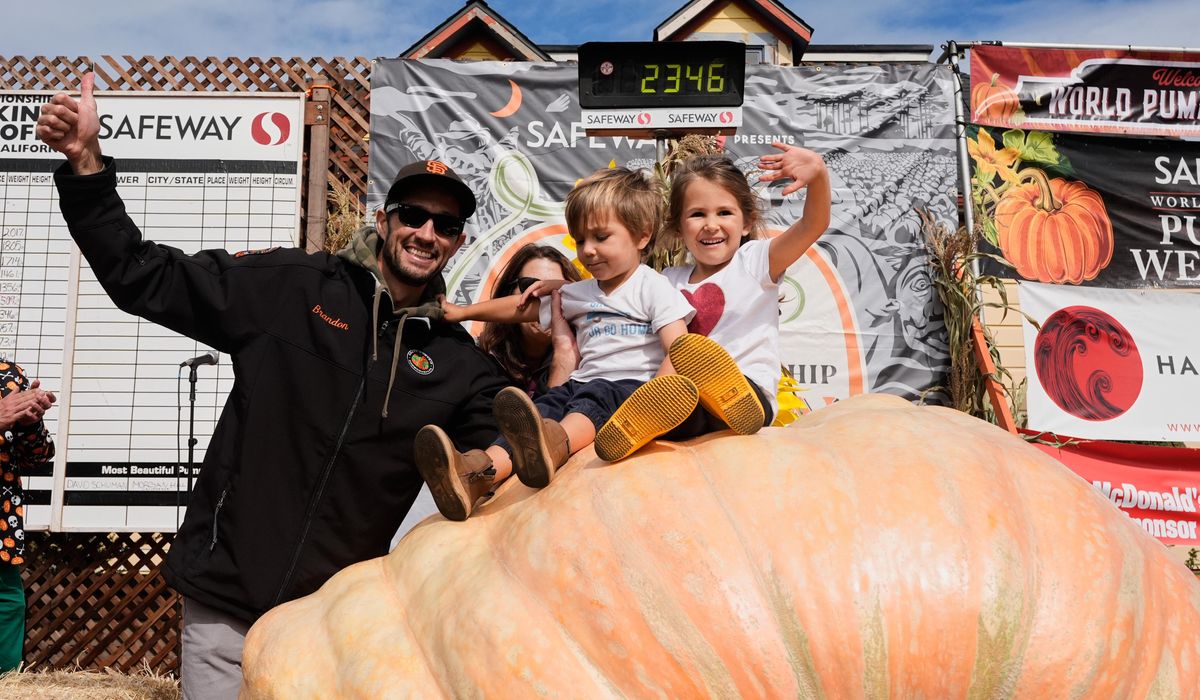 Engineer wins pumpkin contest with 2,346-pound gourd