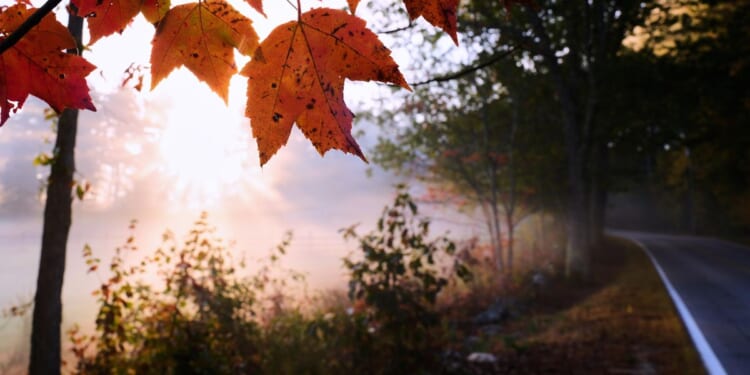 Fall foliage dropping sooner, showing less color; leaf-peeping season hampered by drought