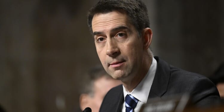 Sen. Tom Cotton's bill would ban judges from considering gender identity in sentencing decisions