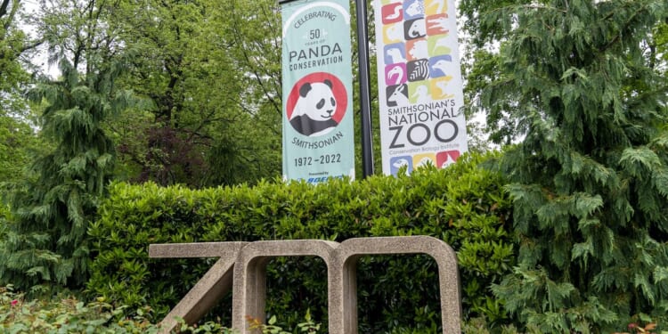 Smithsonian's 'Boo at the Zoo' canceled due to government shutdown
