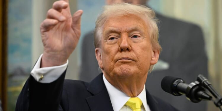 Trump's tariffs helped tame deficit in 2025, brought in $118 billion in new money