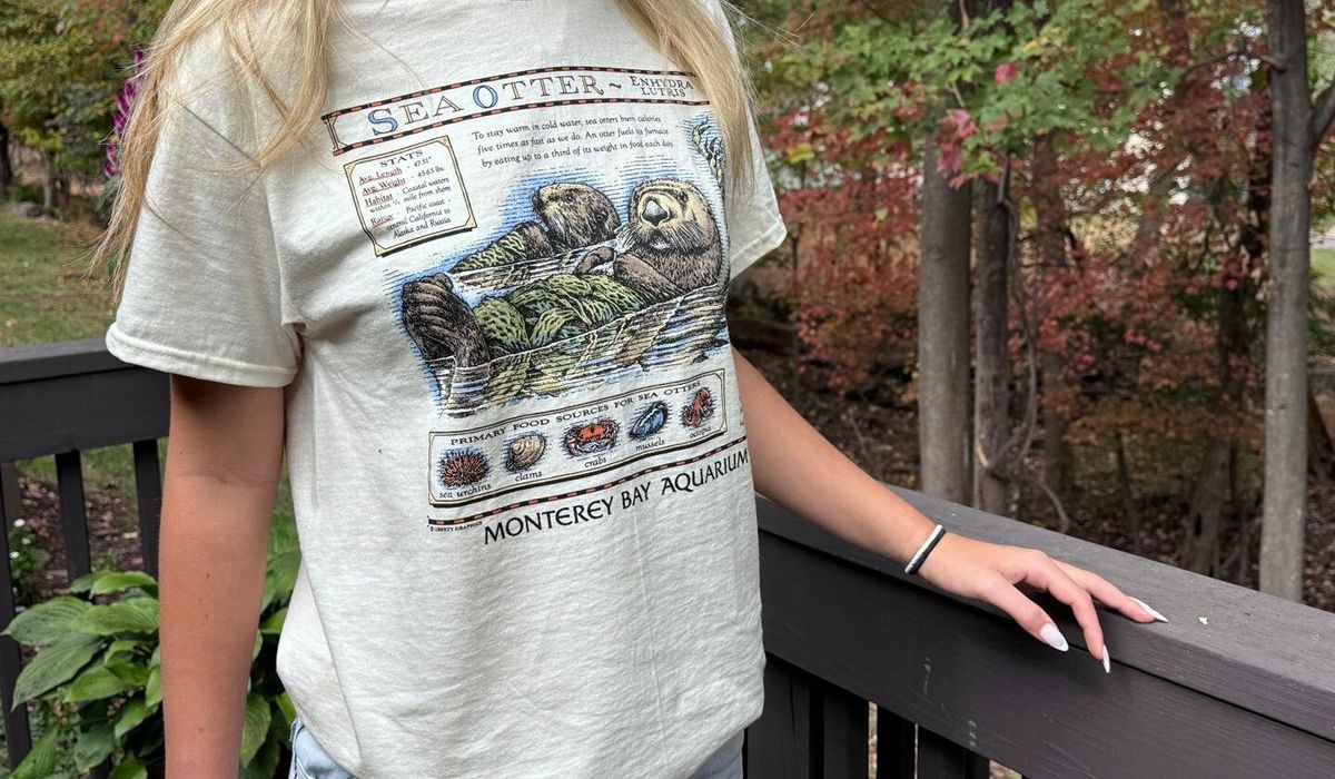 Taylor Swift vintage T-shirt sparks a $2M windfall for sea otters, Monterey Bay Aquarium