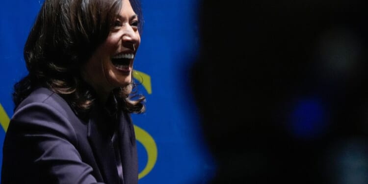 Kamala Harris says Democrats 'are standing up for working people' in AP interview