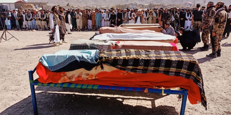 Afghanistan withdraws from Twenty20 cricket tri-series over military strikes from Pakistan