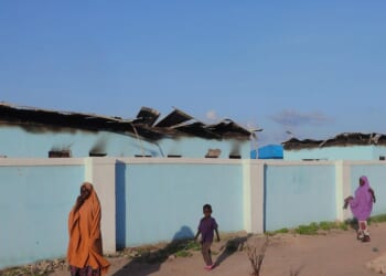 Nigerian army kills over 50 Boko Haram militants as it fights off drone attacks