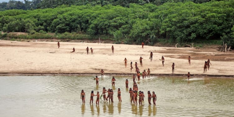 Uncontacted Indigenous peoples and efforts to protect them: What to know