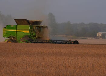 China makes its first purchase of U.S. soybeans this year: Report