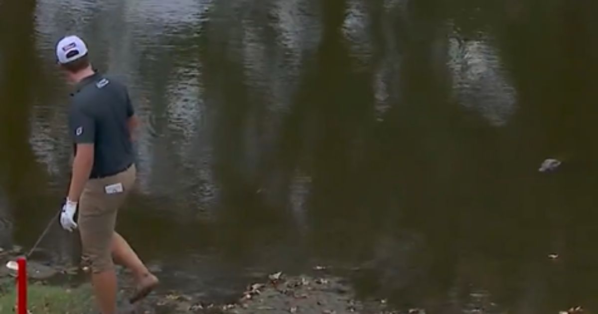 An alligator watches as golfer Vince Whaley hits his ball out of the lake at the Sanderson Farms Championship in Jackson, Mississippi, in early October 2025.