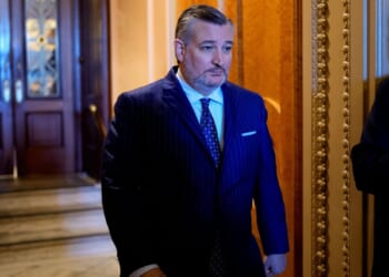 Cruz, Crane Lead Push to Require Citizenship Proof to Vote