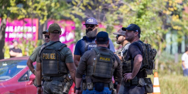 Washington D.C. Metro Police, ICE, and HSI Agents conduct a roadblock and check drivers for infractions on Georgia Avenue on Aug. 30, 2025, in Washington, D.C.