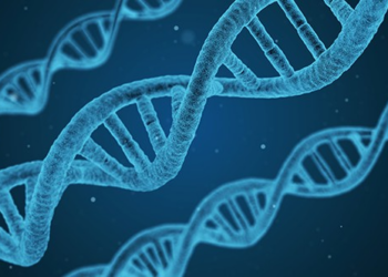 It's the Genes – HotAir