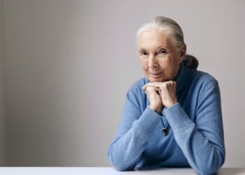 Jane Goodall, Whose Studies of Chimps Revolutionized Our Understanding of Chimps and Humans, Dead at 91 – PJ Media