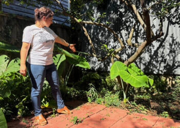 New Orleans resident Daniella Santoro points out the spot where her family discovered a 1900-year-old Roman artifact.