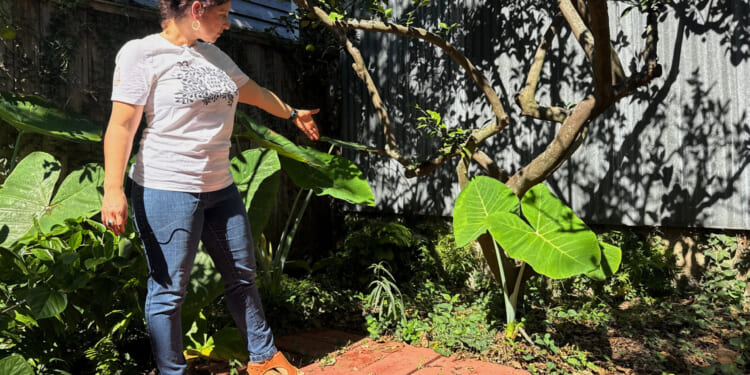 New Orleans resident Daniella Santoro points out the spot where her family discovered a 1900-year-old Roman artifact.