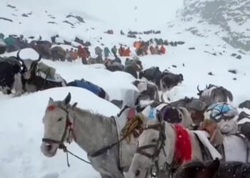 Snowstorm traps hundreds of hikers on Mount Everest during China's national holiday