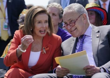 ‘No Kings’ Nonsense, Lee Harvey Oswald, and the Destruction of the Democratic Party – PJ Media