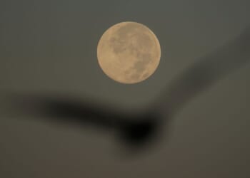 November's supermoon will be the closest of the year