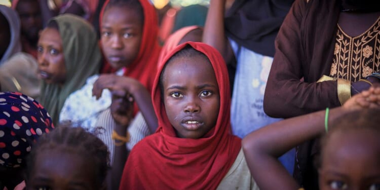 Famine spreading to two more areas in Sudan, global hunger authority says