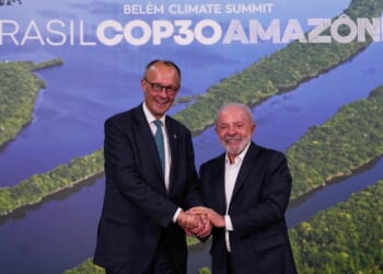 Germany promising support for Brazil's forest initiative at U.N. climate talks