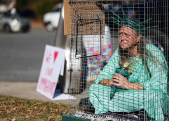 More than 130 arrested in North Carolina as governor says immigration crackdown 'stoking fear'