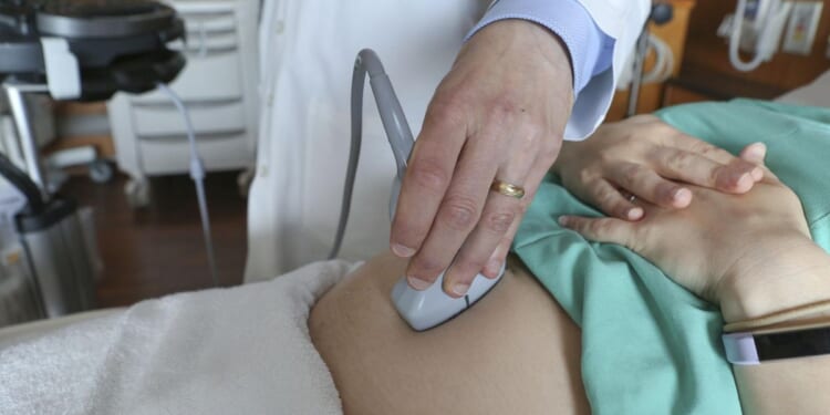 Pro-life pregnancy centers expand as Planned Parenthood contracts after Dobbs decision