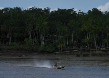 Railway project in the Amazon raises questions over Brazil's efforts to stop deforestation