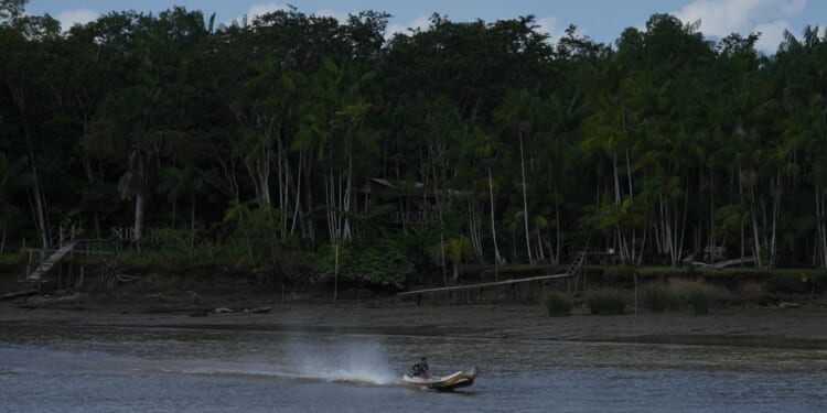 Railway project in the Amazon raises questions over Brazil's efforts to stop deforestation