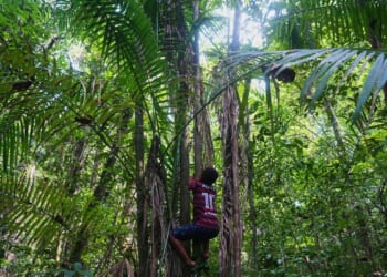 Slave descendants in Brazil demand recognition of territories