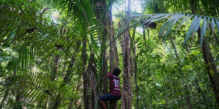 Slave descendants in Brazil demand recognition of territories