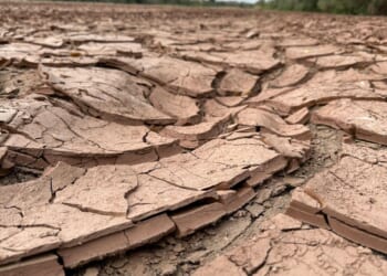Shrinking Rio Grande basin threatens water security in U.S. and Mexico