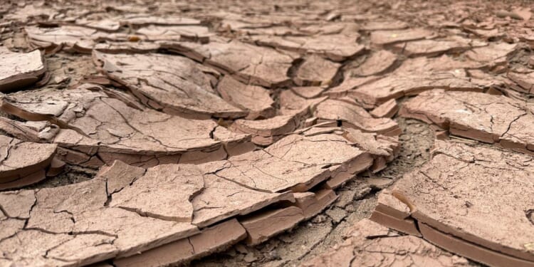 Shrinking Rio Grande basin threatens water security in U.S. and Mexico